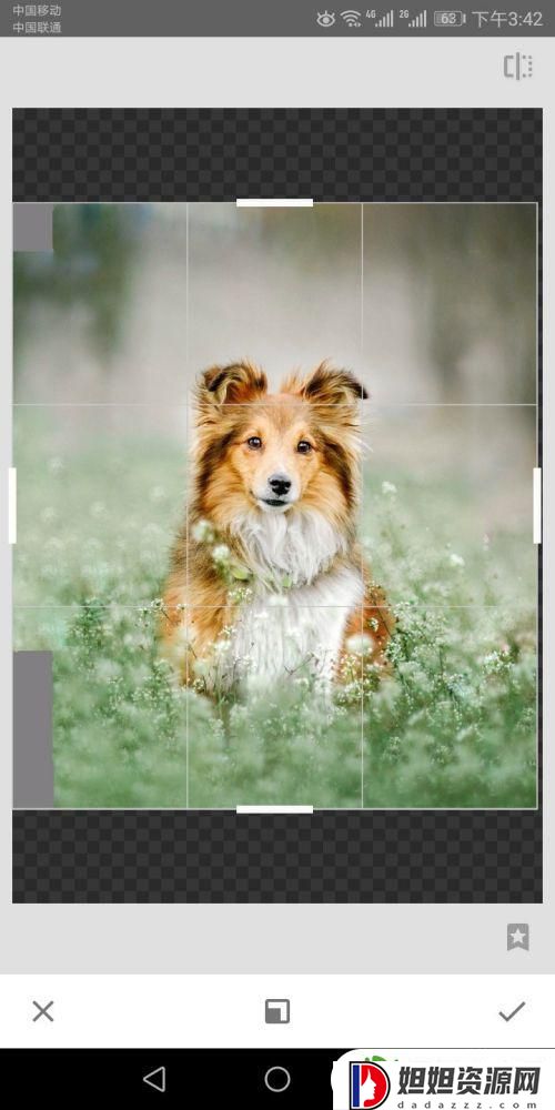 手机相册怎么填充图片 利用手机进行图片内容扩展填充方法